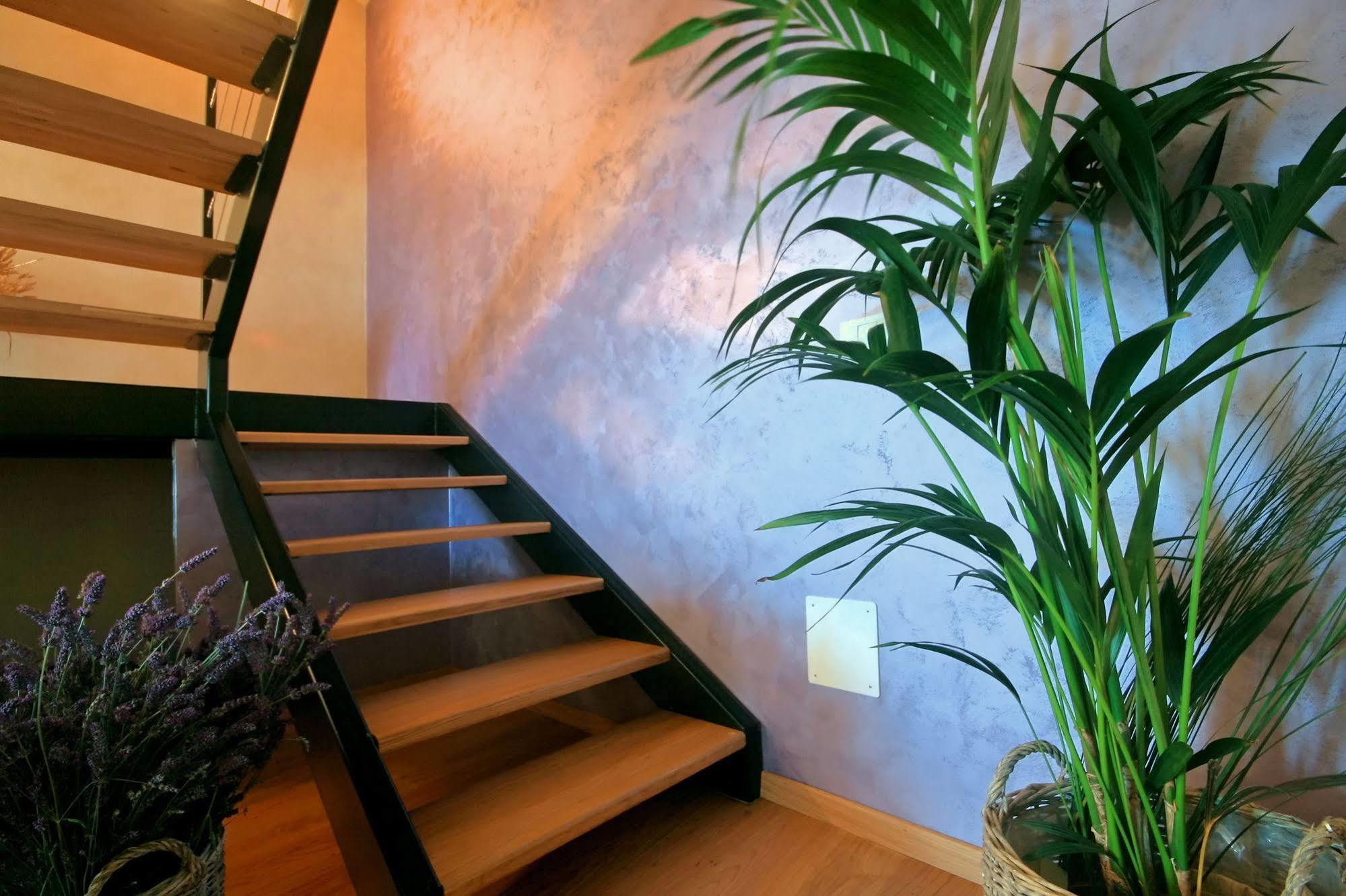 Angelo D'Oro Apartment Monte Rovinj Zewnętrze zdjęcie